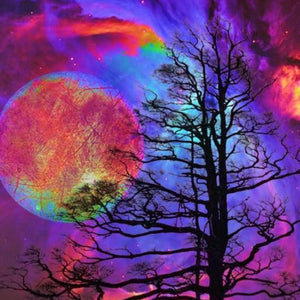 Colorful Galaxy & Barren Trees Diamond Painting