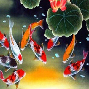 Koi Fish Paint by Diamonds