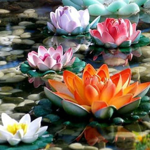 Colorful Lotus Paint by Diamonds