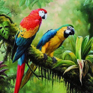 Parrots Diamond Painting Kit