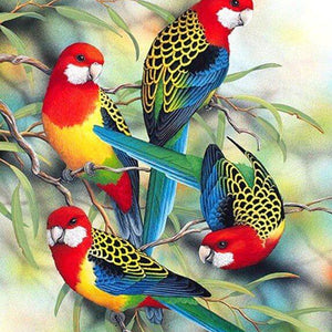 Parrots 3D Painting Kit