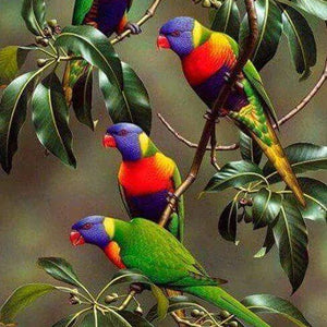 Colorful Parrots on Tree Branches