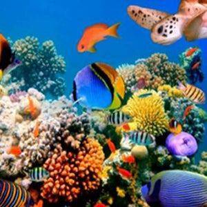 Coral Fish Diamond Painting 