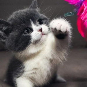 Cute Baby Cat Paint by Diamonds