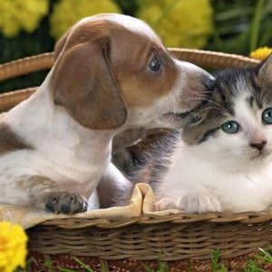 Cute Friendship Paint by Diamonds