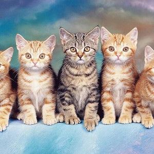 Cute Group of Cats Paint by Diamonds