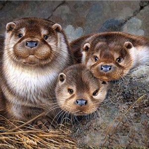 Cute Otter Babies Paint by Diamonds