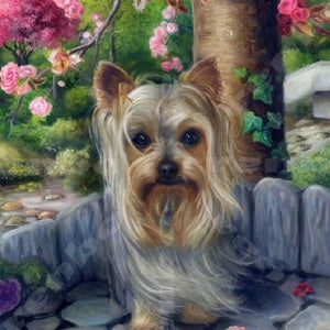 Cute Yorkshire Terrier Paint by Diamonds