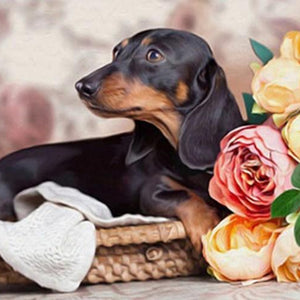 Dachshund & Flowers Paint with Diamonds