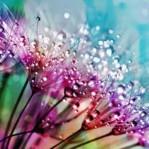 Dandelion Seeds with Water Drops Diamond Painting