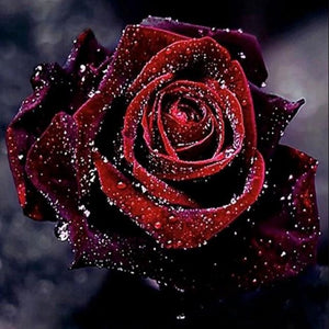 Dark Red Rose with Water Drops Diamond Painting