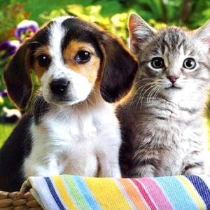 Animals 3D Diamond Painting Kit