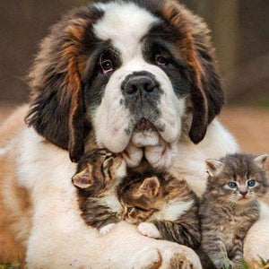 Dog with Three Kittens Diamond Painting