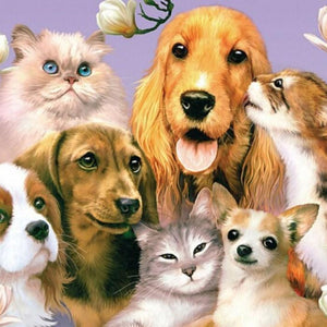 Dogs & Cats are Friends Paint by Diamonds