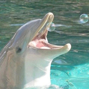 Dolphin Playing with Bubbles Diamond Painting