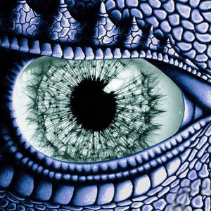 Dragon Eye Diamond Painting Kit