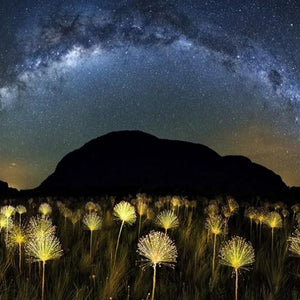 Dream Night Sky Paint by Diamonds