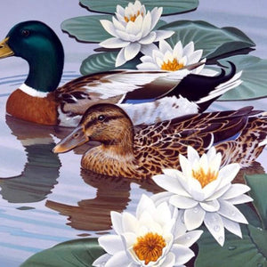 Ducks Pair & White Lotus Diamond Painting