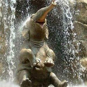 Elephant DIY Painting Kit