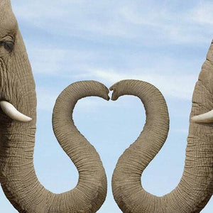 Elephants Diamond Painting Kit