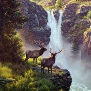 Elks at Waterfall Diamond Painting Kit