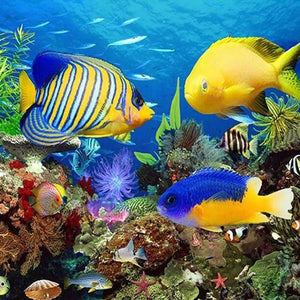 Fish Aquarium Diamond Painting Kit