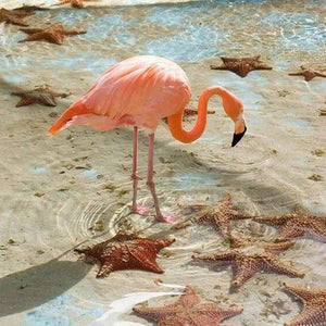 Flamingo Paint by Diamonds