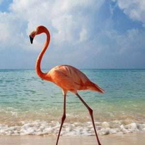 Flamingo on the Beach Paint by Diamonds