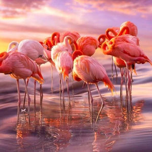 Flamingos Group Diamond Painting Kit