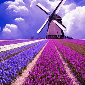 Flowers Landscape DIY Painting Kit