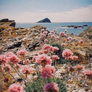 Flowers by the Ocean Diamond Painting