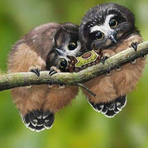 Fluffy Owls & Caterpillar Paint by Diamonds