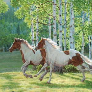 Forest Horses Paint by Diamonds