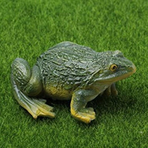 Frog Diamond Painting Kit