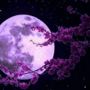 Full Moon DIY Painting