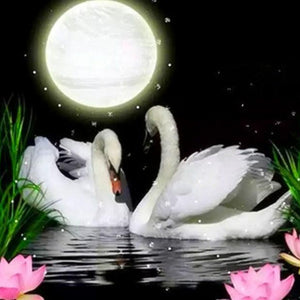 Full Moon & Swans Pair Paint by Diamonds