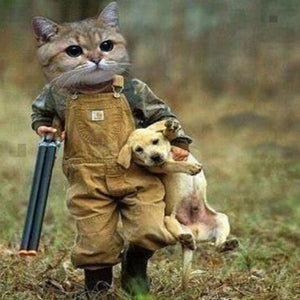  Gangster Cat & Puppy Paint by Diamonds