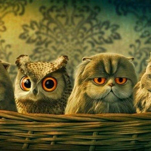 Funny Owl Basket Paint by Diamonds