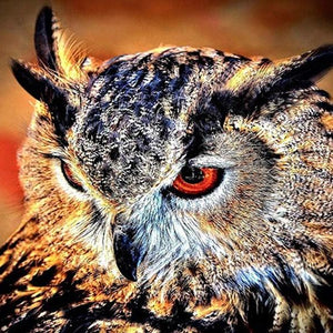Owl Full Drill Painting