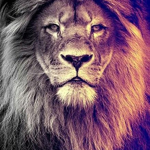 Gazing Lion Diamond Painting Kit