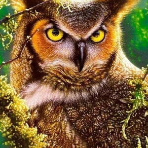 Gazing Owl Diamond Painting Kit