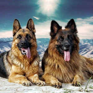 German Shepherd Dogs Pair Paint by Diamonds