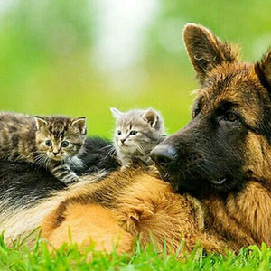 German Shepherd with Cute Kittens Diamond Painting