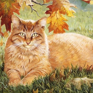 Ginger Cat Diamond Painting Kit