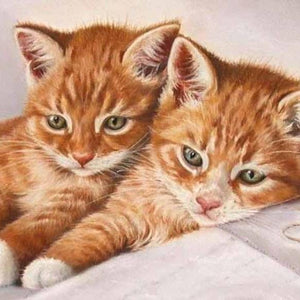 Ginger Cat Pair Paint by Diamonds