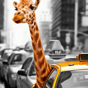 Giraffe in Taxi Paint by Diamonds