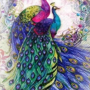 Gorgeous Peacocks Paint by Diamonds