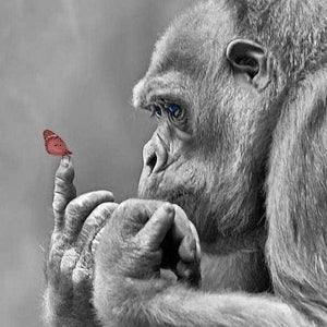 Gorilla Painting Kit