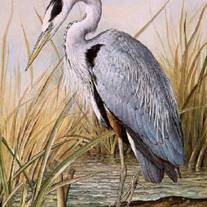 Great Blue Heron Paint by Diamonds