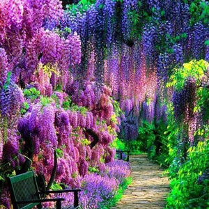 Green & Purple Forest DIY Painting Kit